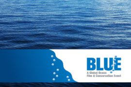 Blue ocean film festival